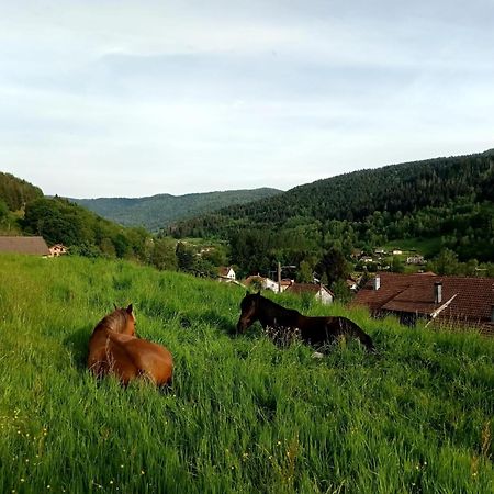 Gite De Famille Dans Les Vosges サン・モーリス・シュル・モセル エクステリア 写真