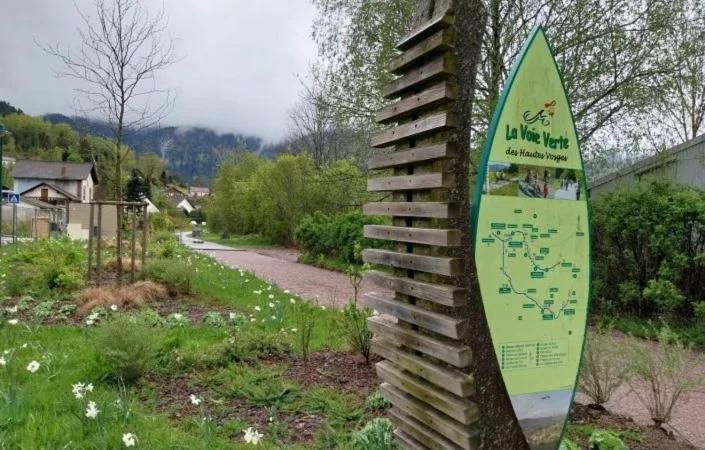 Gite De Famille Dans Les Vosges サン・モーリス・シュル・モセル エクステリア 写真